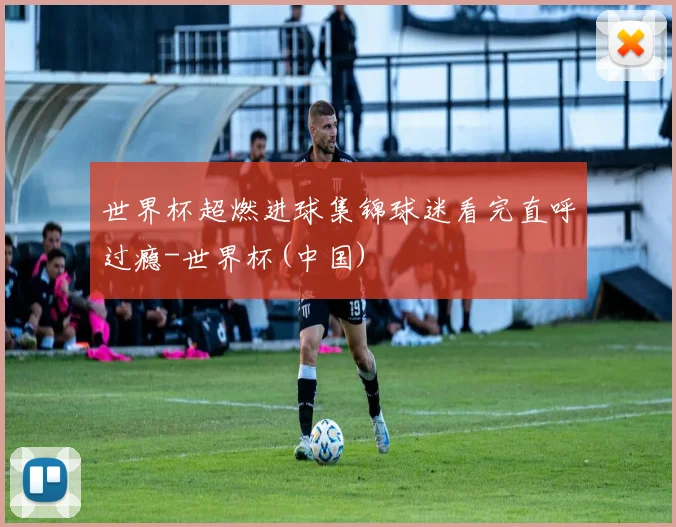 世界杯超燃进球集锦球迷看完直呼过瘾-世界杯(中国)