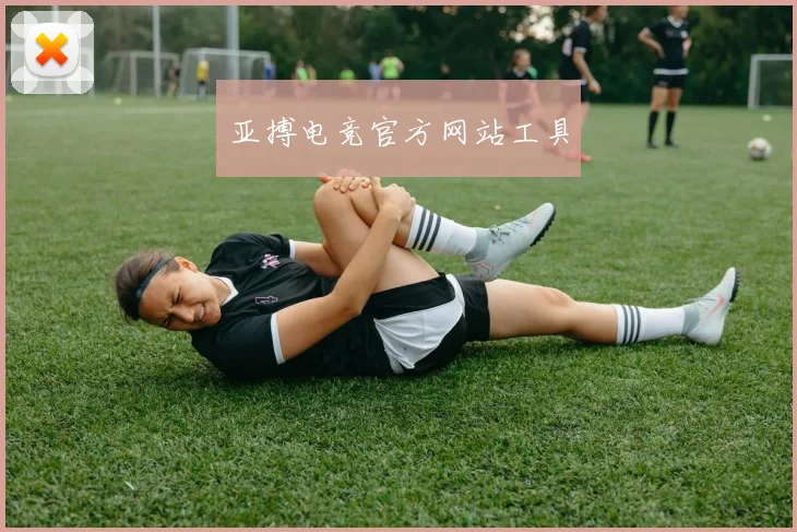 亚搏电竞官方网站工具