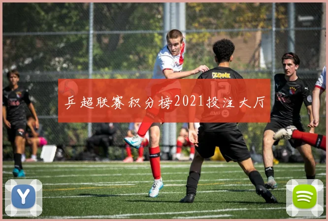 乒超联赛积分榜2021投注大厅