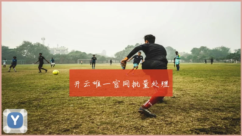 开云唯一官网批量处理