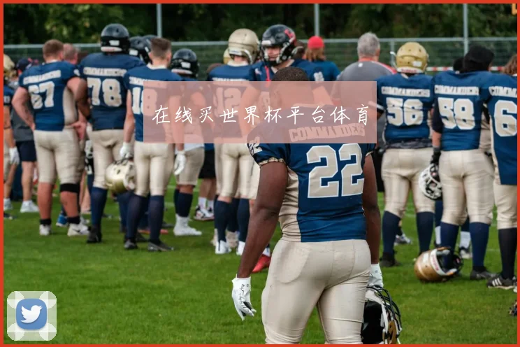 在线买世界杯平台体育