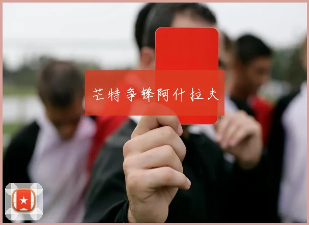 芒特争锋阿什拉夫