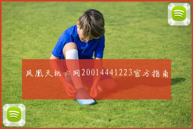 凤凰天机六网20014441223官方指南