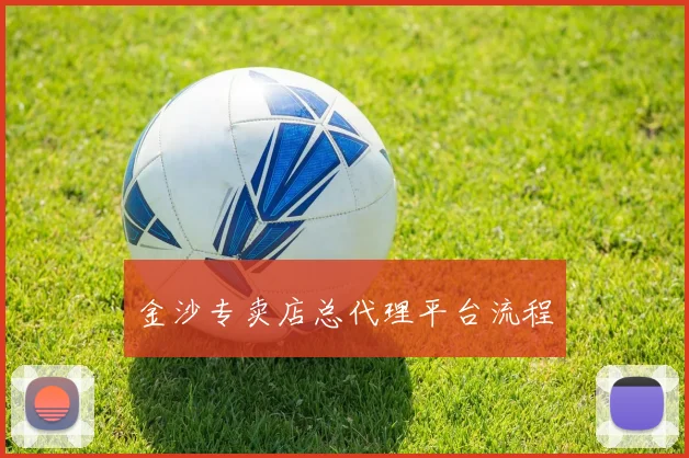 金沙专卖店总代理平台流程