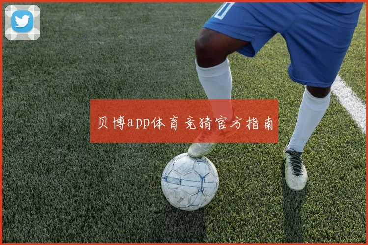 贝博app体育竞猜官方指南
