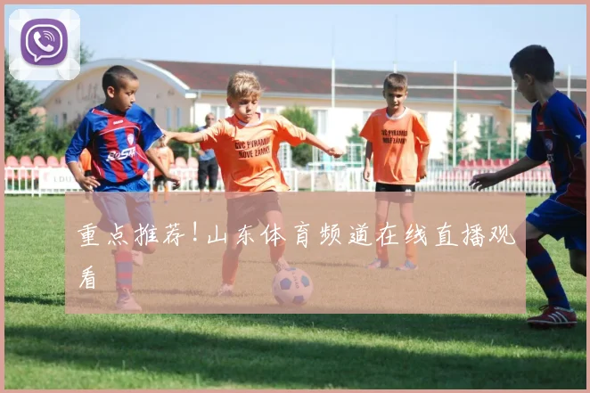重点推荐!山东体育频道在线直播观看