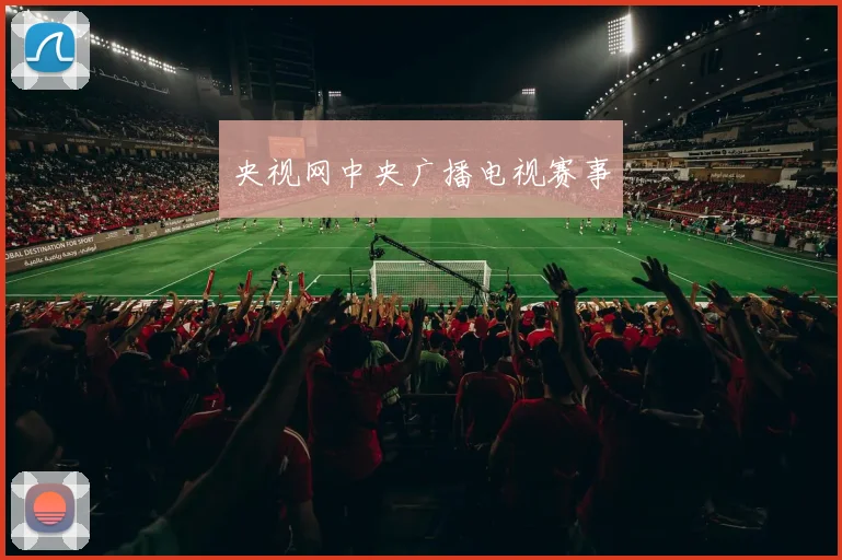央视网中央广播电视赛事