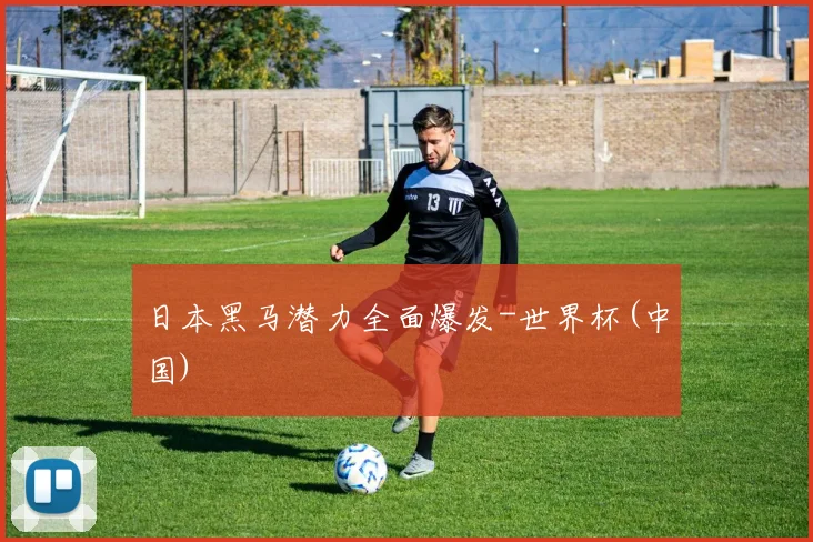 日本黑马潜力全面爆发-世界杯(中国)
