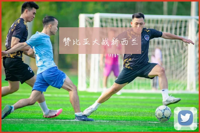 赞比亚大战新西兰