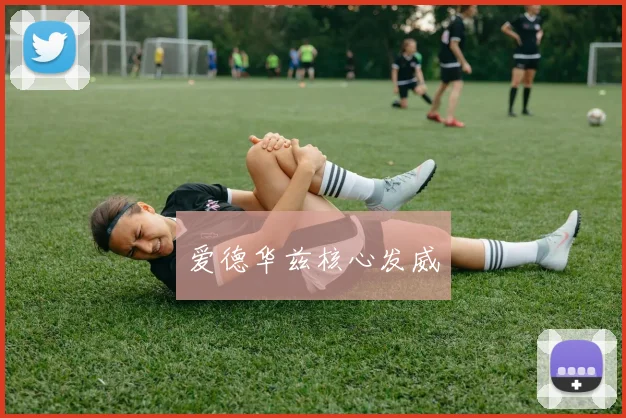 爱德华兹核心发威