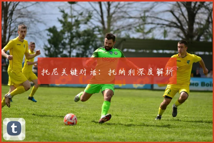 托尼关键对话：托纳利深度解析