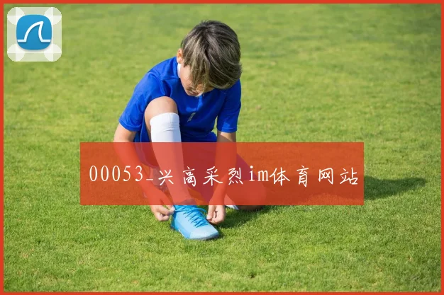 00053_兴高采烈im体育网站