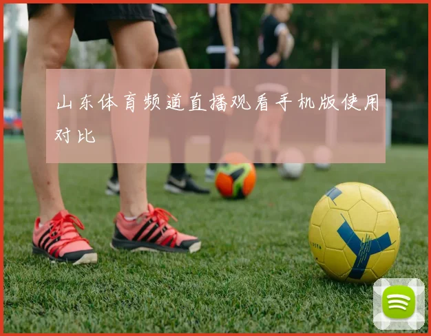山东体育频道直播观看手机版使用对比