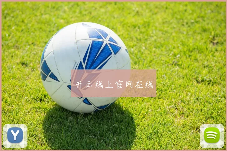 开云线上官网在线