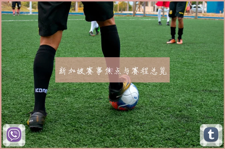 新加坡赛事焦点与赛程总览