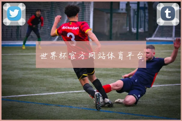 世界杯官方网站体育平台