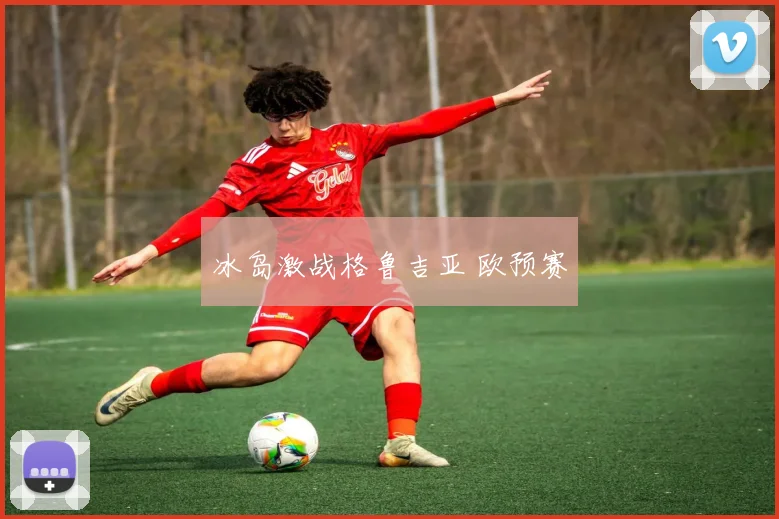 冰岛激战格鲁吉亚 欧预赛