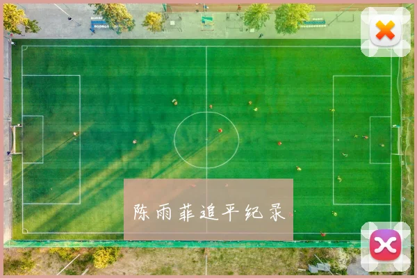 陈雨菲追平纪录
