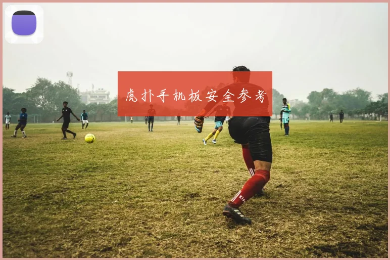 虎扑手机板安全参考