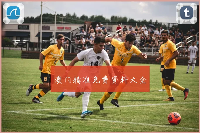 澳门精准免费资料大全