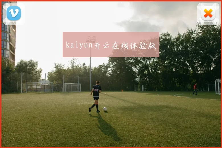 kaiyun开云在线体验版