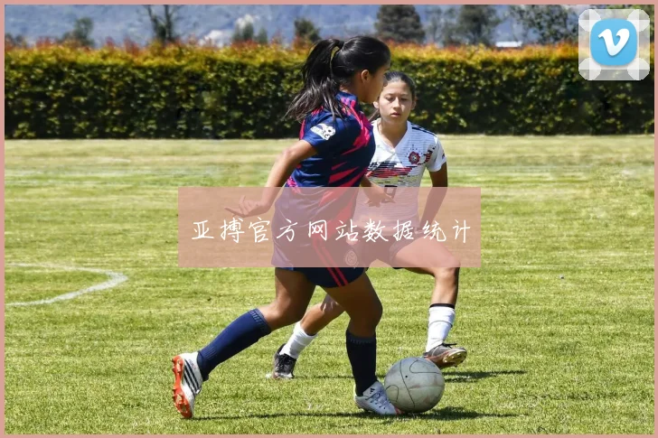亚搏官方网站数据统计