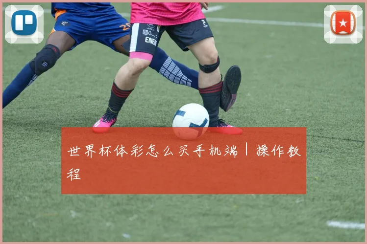 世界杯体彩怎么买手机端｜操作教程