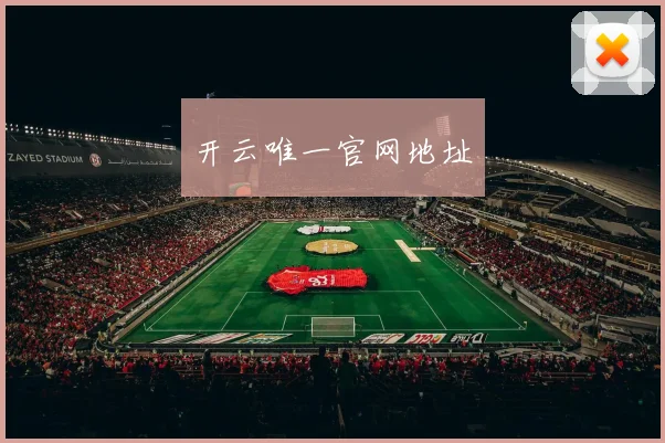 开云唯一官网地址