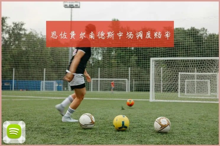 恩佐费尔南德斯中场调度赔率