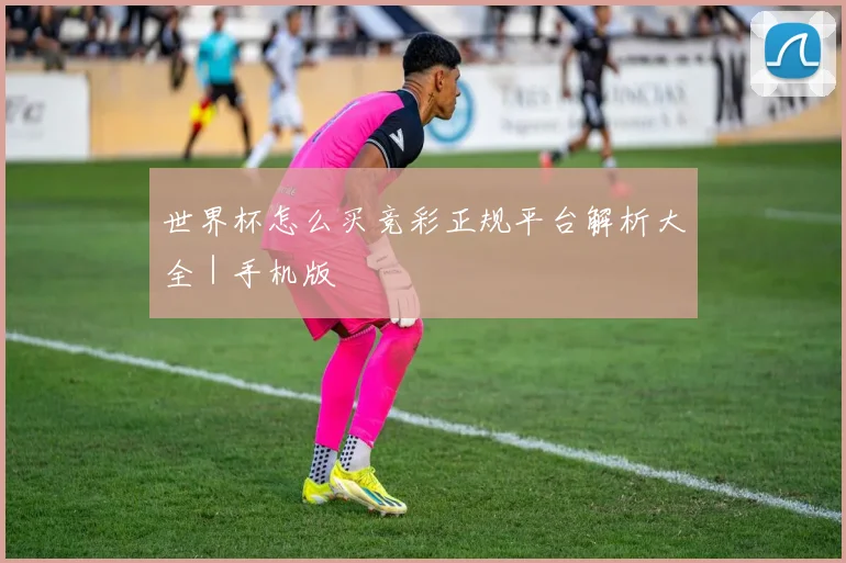 世界杯怎么买竞彩正规平台解析大全｜手机版