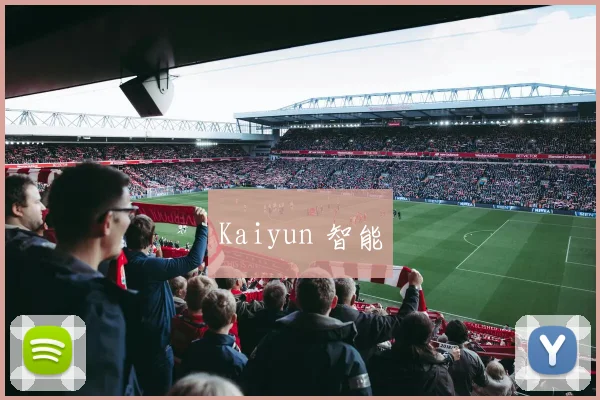 Kaiyun 智能