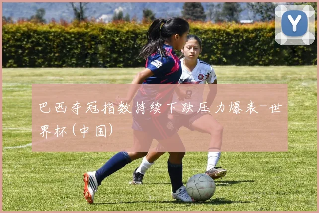 巴西夺冠指数持续下跌压力爆表-世界杯(中国)