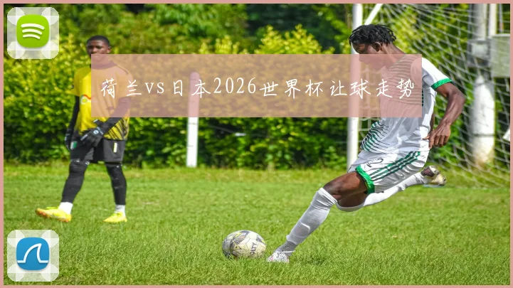 荷兰vs日本2026世界杯让球走势