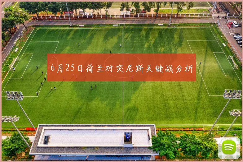6月25日荷兰对突尼斯关键战分析