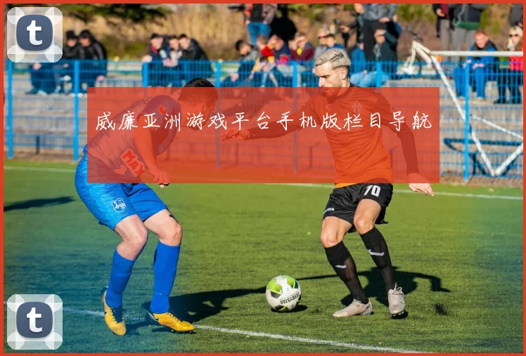 威廉亚洲游戏平台手机版栏目导航