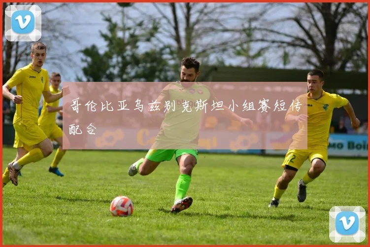 哥伦比亚乌兹别克斯坦小组赛短传配合