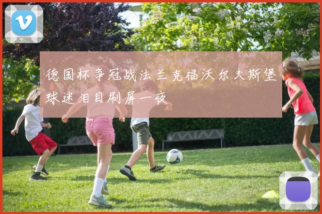 德国杯争冠战法兰克福沃尔夫斯堡球迷泪目刷屏一夜