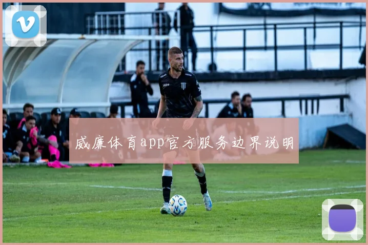 威廉体育app官方服务边界说明