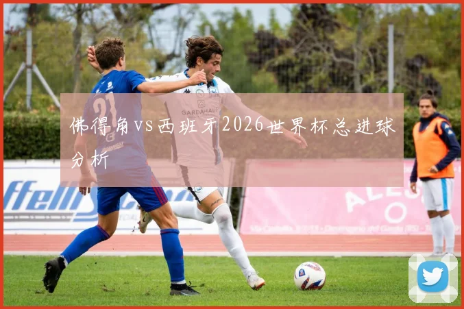 佛得角vs西班牙2026世界杯总进球分析